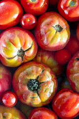 Red ripe tomatoes in water. Photo of very fresh tomatoes