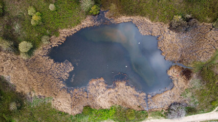 Aerial view of a lake