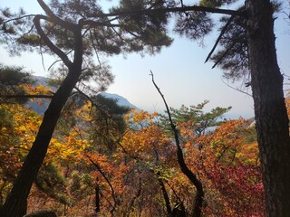 Bukhansan National Park - autumn mountains. hiking Korean mountains. mountain landscapes in autumn. trekking. rise to the top of the mountain. red and yellow autumn leaves