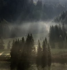 Keuken foto achterwand Mistig bos Sunlight through the trees and fog over a pond at Corvara in Badia, Italy