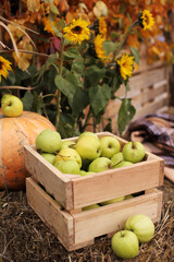Photo zone outdoor for Halloween. Pumpkins, straw and apples. Vertical Orientation