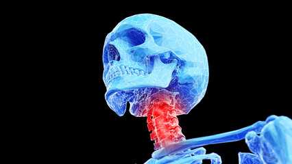 3d rendered medical illustration of a wireframe style skeletal cervical spine