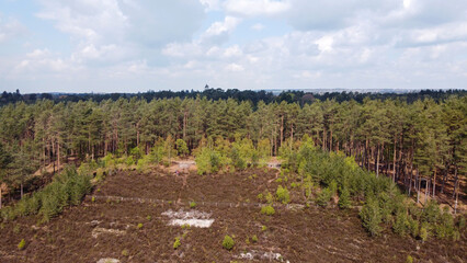 Fototapeta na wymiar Aerial photo of a forest and heathland