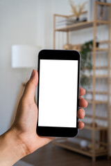 Women holding smartphone with blank screen, close-up of hands. Space for text.