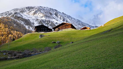 Fototapeta na wymiar Erster Schnee im Südtiroler Schnalstal