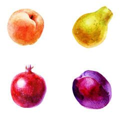 Watercolor illustration, set. Fruit. Plums, peaches, papaya, pomegranate.