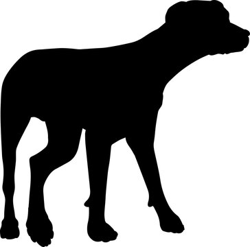 recommend clip art: Dog Silhouette Pet Animal