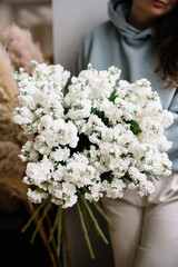 Young female florist woman working, holding in her hands big fresh bunch of aromatic matthiola flowers