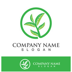 Green tree leaf nature logo images