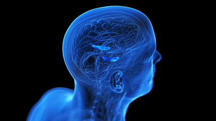 Obraz premium medical illustration