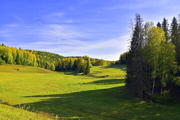 Forest and fields in autumn color illuminated by the sun
