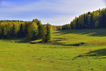 Forest and fields in autumn color illuminated by the sun