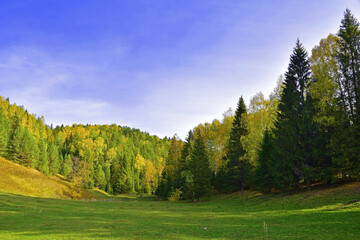 Fototapeta na wymiar Forest and fields in autumn color illuminated by the sun