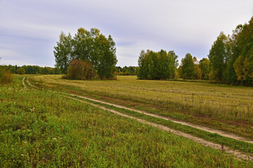 Rural fields in cloudy autumn weather