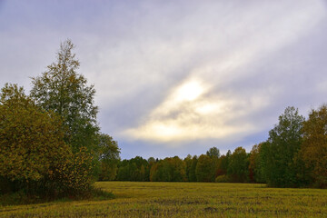 Rural fields in cloudy autumn weather