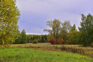 Rural fields in cloudy autumn weather