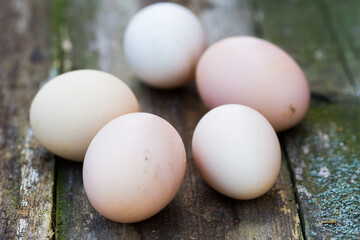 Close-up view of Easter eggs on old vintage wooden background
