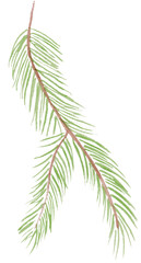 christmas tree branch