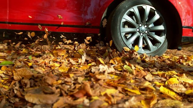 Close-up of a car wheel driving in forest road, swirling colorful leaves. Super Slow-motion Filmed on High Speed Cinematic Camera at 1000 FPS.