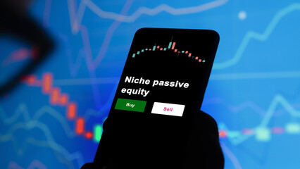 An investor's analyzing the niche passive equity etf fund on screen. A phone shows the equities...