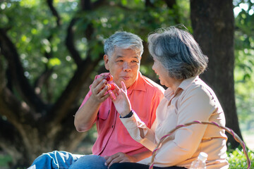 Obraz premium Happy old elderly couple spouses relaxing and sitting on a blanket in the park and sharing few precious memories. Senior couple having great time together on a picnic. concept of mature relationships