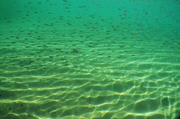 Fototapeta na wymiar under the wave , cristal water in the caribbean sea