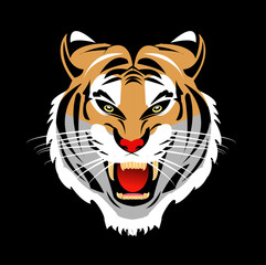 tiger head vector illustration