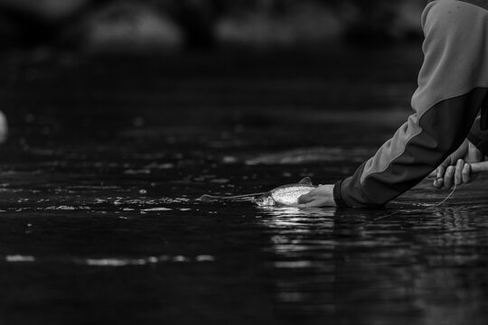 black and white photo of a hand holding a trout