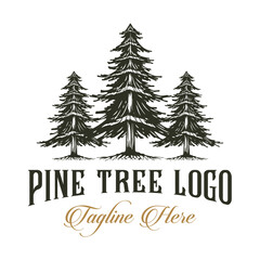 Fototapeta premium Logo Design Pine tree illustration The concept of tall pine trees in a row