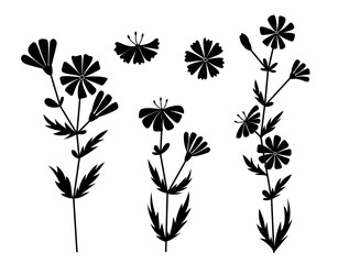 Set of wildflowers. Black silhouettes of chicory.