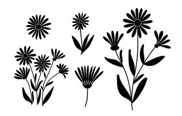 Set of  calendula, silhouettes of wild flowers, vector clipart