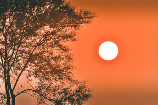 A beautiful clear sunset sky.