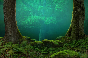 Forest landscape with blue hazy misty background. Fairytale woods. Oak tree framed by mossy trees and stones. 