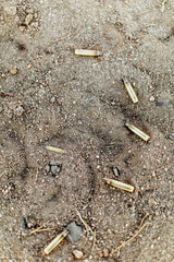 bullets on the ground