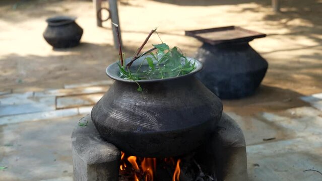 Green Neem leaves known as Azadirachta indica boiled in water on chulha. Boiling neem, nimtree or Indian lilac on clay stove. Indian village usage for Bathing and healthy benefits.