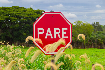 Close em placa de sinalização em beira de estrada que está entre capim em um dia de céu nublado.