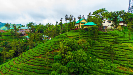 Nature Landscape of Switzerland of Kerala Vagamon