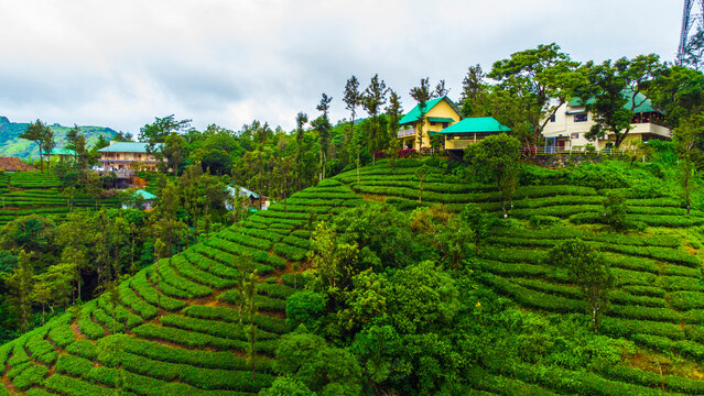 Nature Landscape of Switzerland of Kerala Vagamon