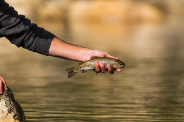 hand holding a fish