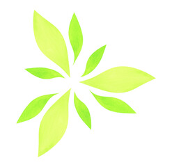 Watercolor eco symbol, green leaves. Watercolor eco illustration, isolated on transparent background. For eco design, web design, postcard design, invitation cards.