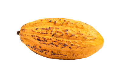 ripe cocoa fruits isolated on transparent png