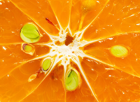 macro orange texture,Slice of citrus fruit with backlit, abstract macro photography sicilian blood orange fruit close up background