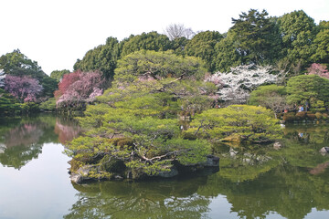 Kyoto, Japan at Heian Shrine pond in the spring season. 10 April 2012