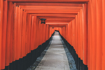 10 April 2012 Red Torii gates in Fushimi Inari shrine in Kyoto, Japan