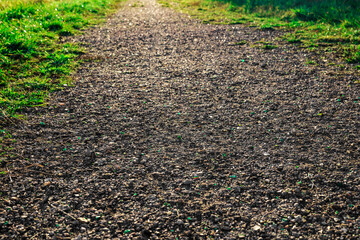 a gravel path with the reflection of the sun. view of a gravel path in a park