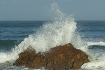 Fototapeta na wymiar plages de surfeurs 