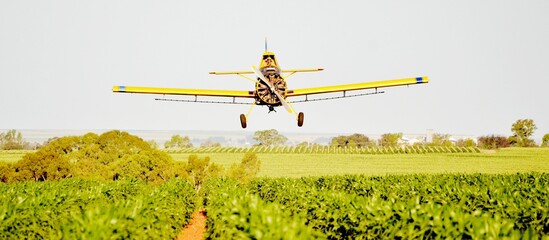 Agricultural aircraft plane watering a field during the daytime