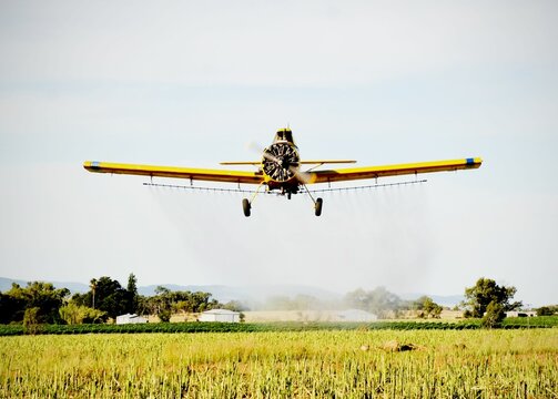 Agricultural aircraft plane watering a field during the daytime