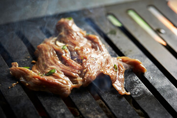 grilled meat on the grill	