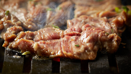 close up of grilled meat